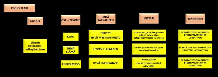 Voittamisen-anatomia.jpg